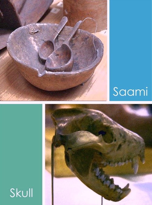 Best Museums in St Petersburg